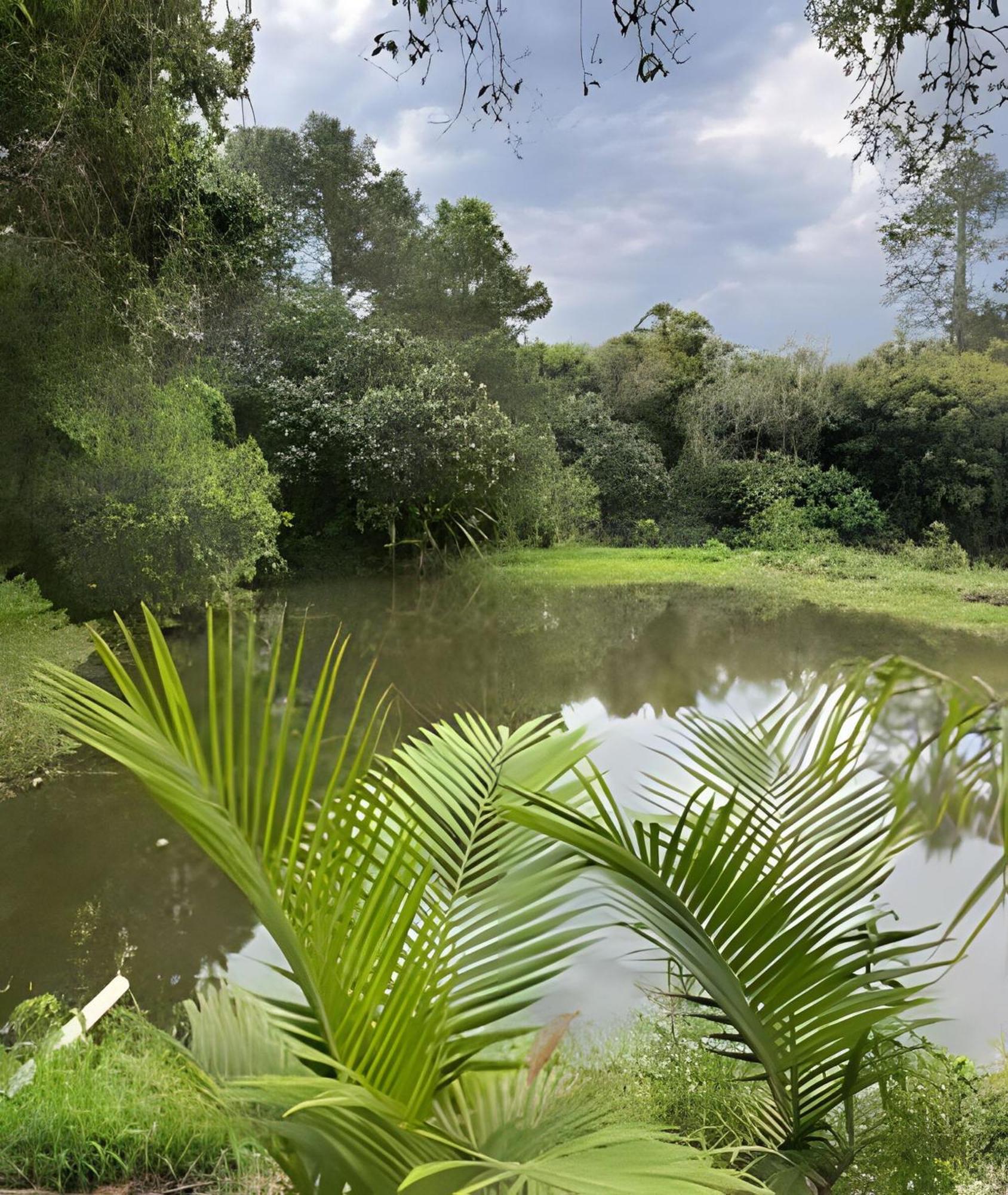 Affittacamere Sitio Santo Antonio - Chale 1 Com Ofuro Atibaia Esterno foto